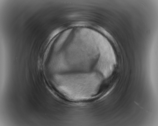 X0000083991329200703091837