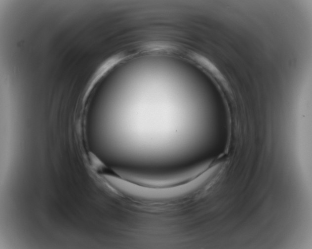 X0000083991330200703091837