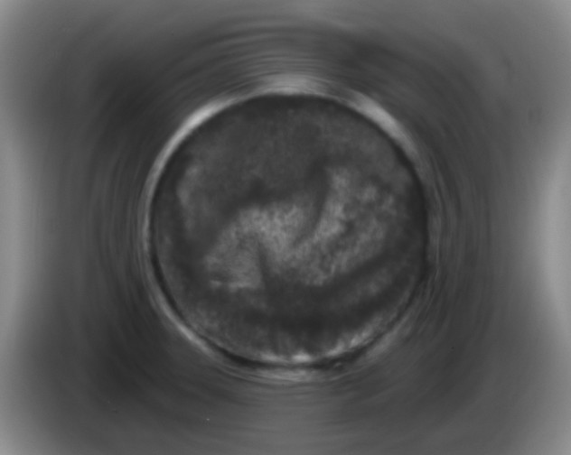 X0000083991331200703091837