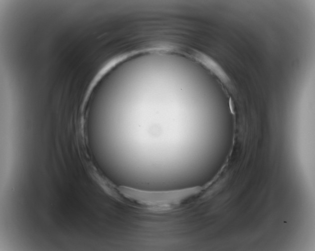 X0000083991332200703091837