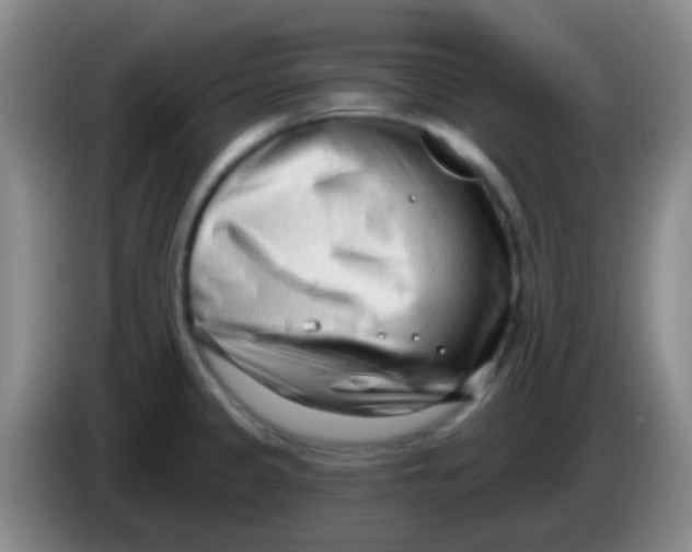 X0000083991333200703091837