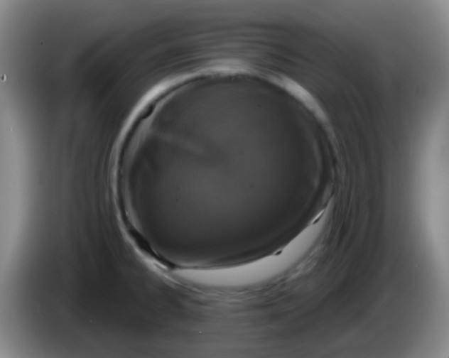 X0000083991334200703091837