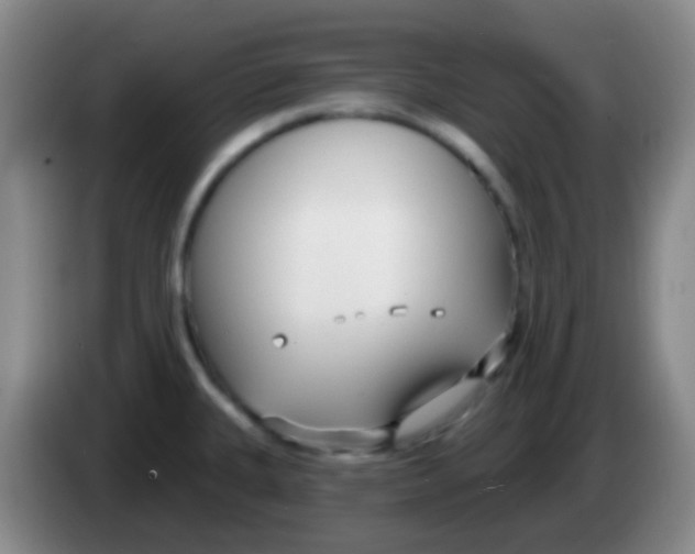 X0000083991335200703091837