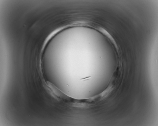 X0000083991336200703091837