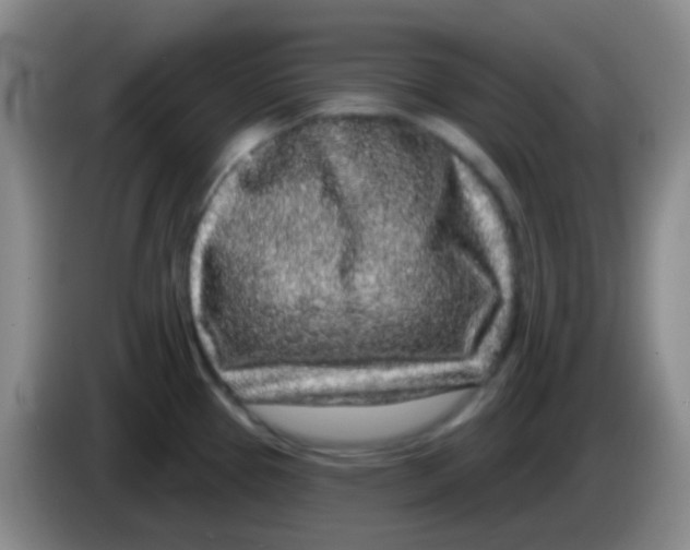 X0000083991337200703091837