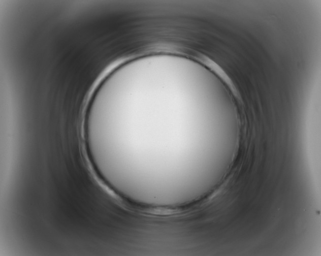 X0000083991339200703091837