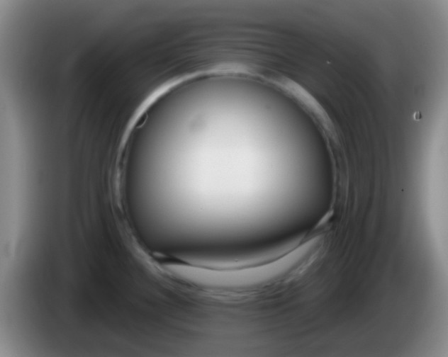 X0000083991340200703091837