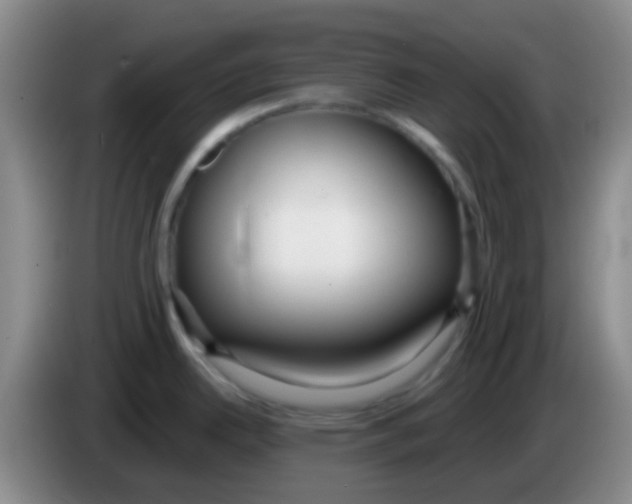 X0000083991342200703091837