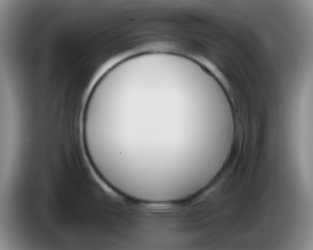 X0000083991343200703091837