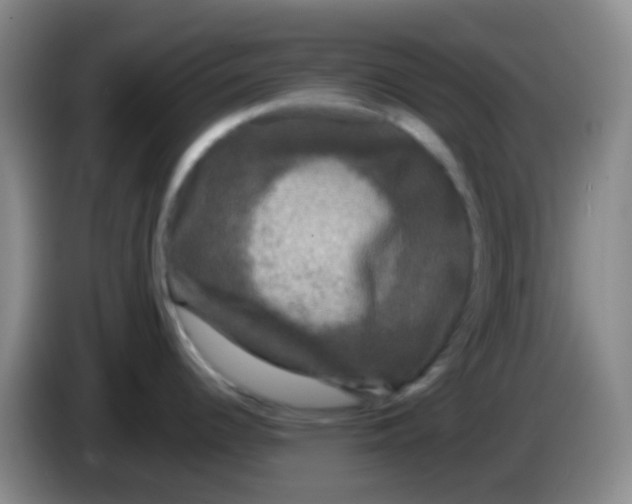 X0000083991344200703091837