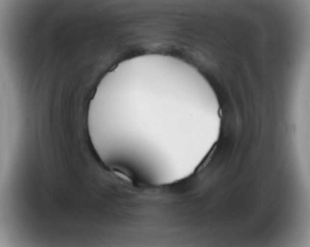 X0000083991345200703091836