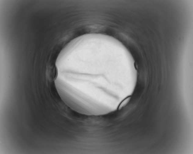 X0000083991346200703091836