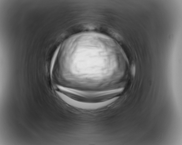 X0000083991347200703091836