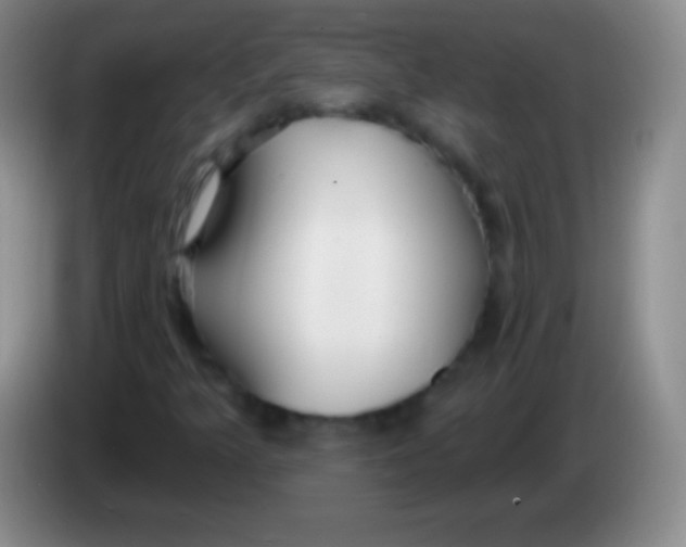 X0000083991349200703091836