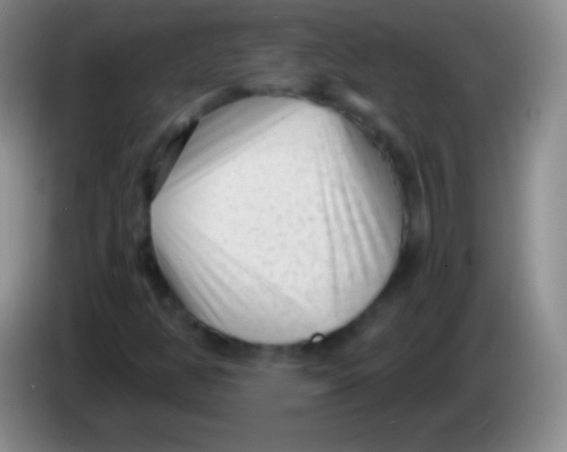 X0000083991350200703091836