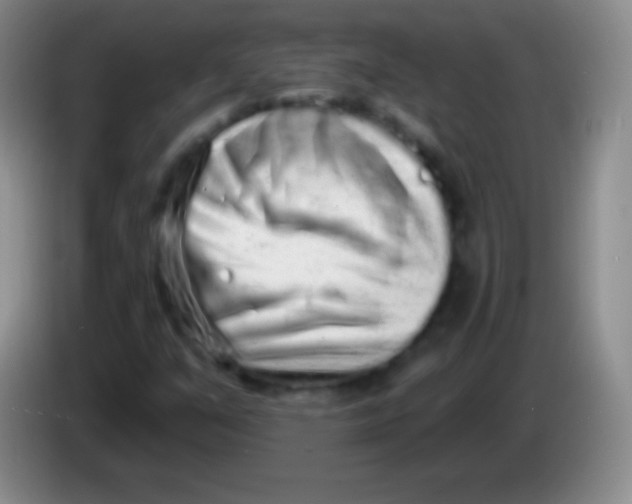 X0000083991351200703091836