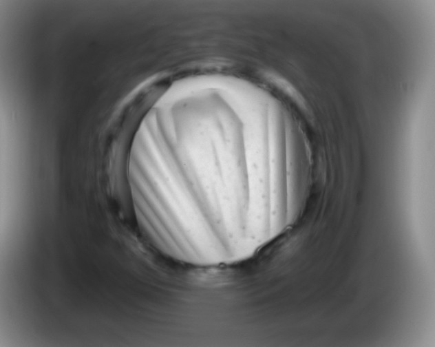 X0000083991352200703091836