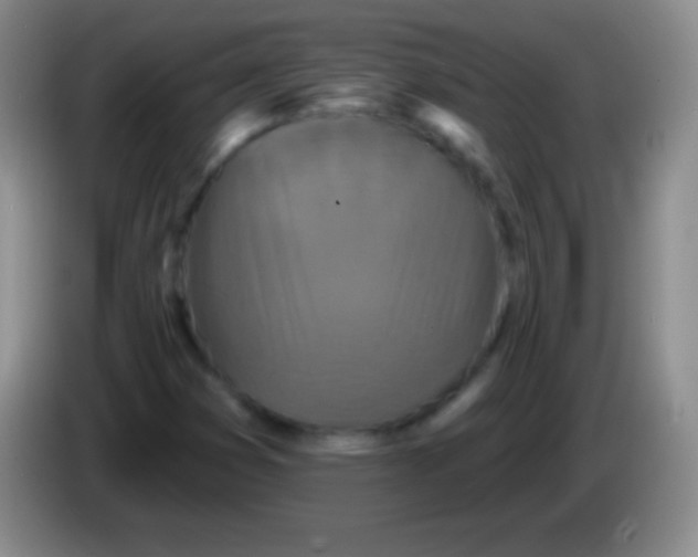 X0000083991353200703091836