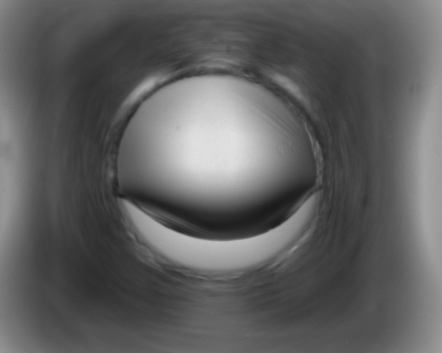 X0000083991355200703091836