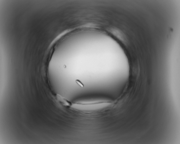 X0000083991356200703091836