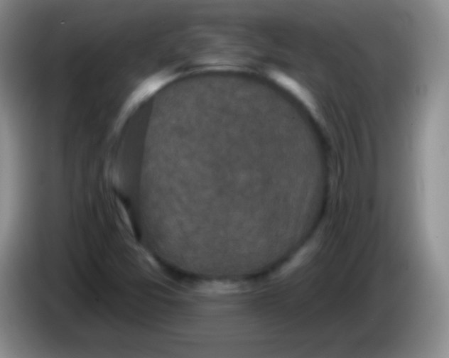 X0000083991357200703091836