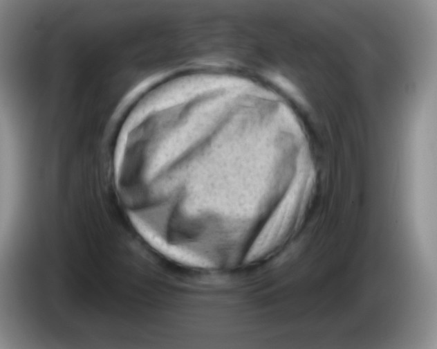 X0000083991358200703091836