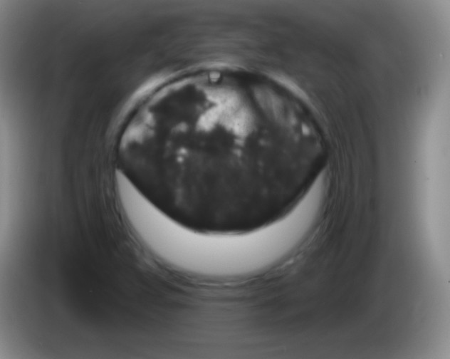 X0000083991359200703091836