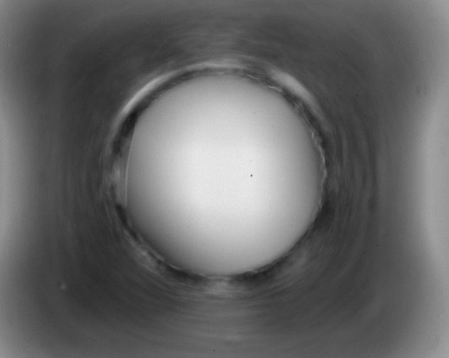 X0000083991360200703091836