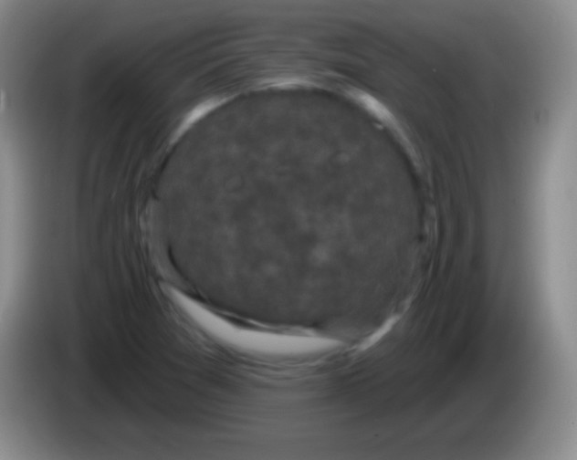 X0000083991361200703091836