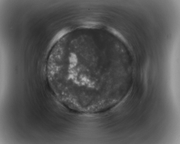 X0000083991362200703091836