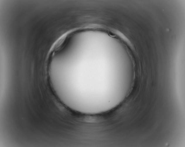 X0000083991364200703091836