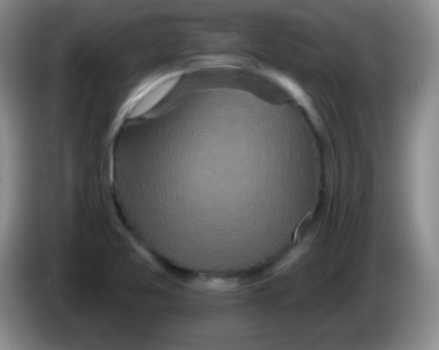 X0000083991365200703091836