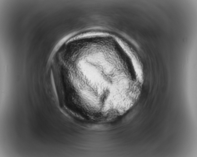 X0000083991367200703091836