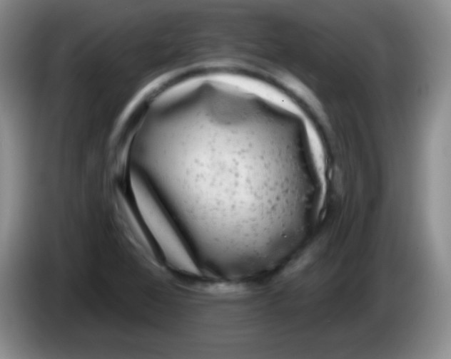 X0000083991368200703091836