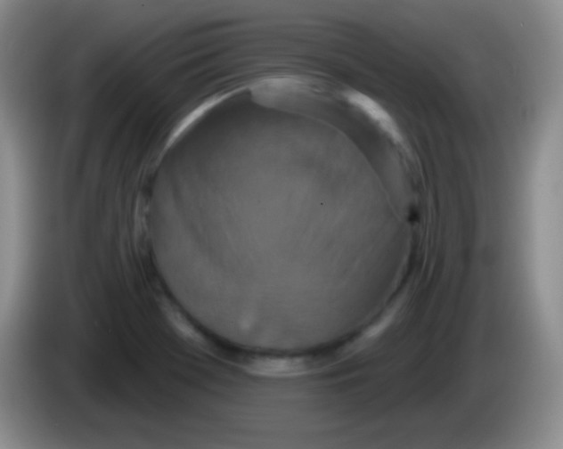 X0000083991369200703091836