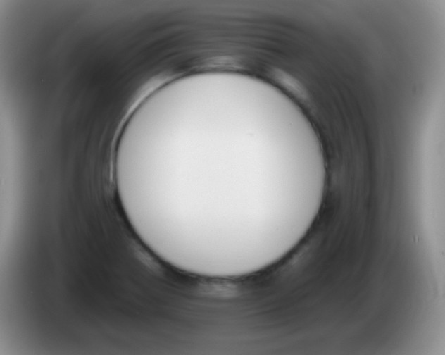 X0000083991370200703091836