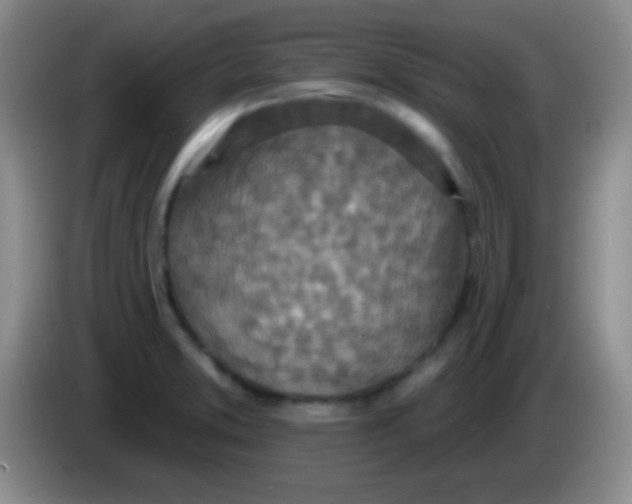 X0000083991373200703091836