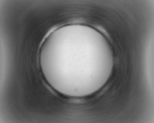 X0000083991374200703091836