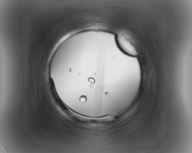 X0000083991375200703091836