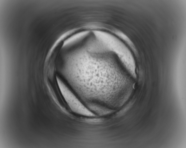 X0000083991376200703091836