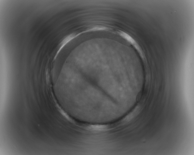 X0000083991377200703091836