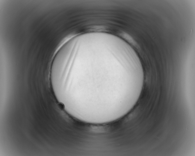 X0000083991378200703091836