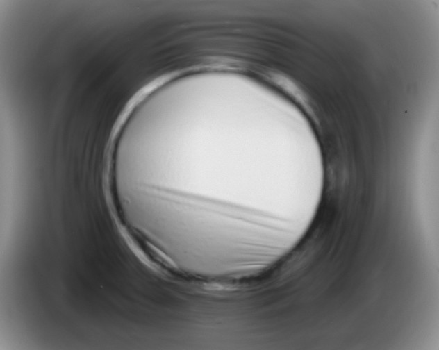 X0000083991379200703091836