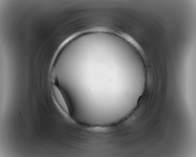 X0000083991380200703091836