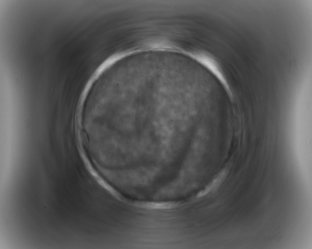 X0000083991381200703091836