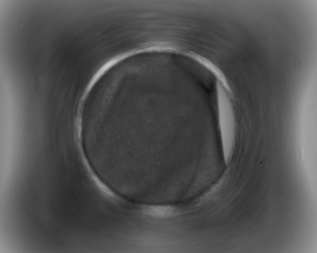 X0000083991383200703091836