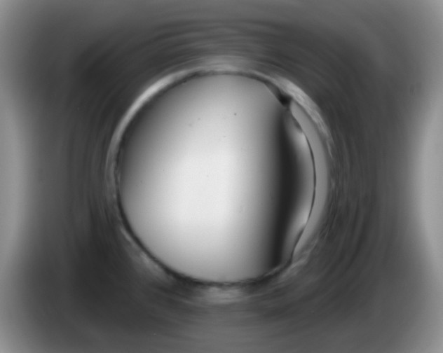 X0000083991384200703091836