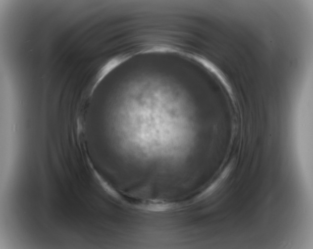 X0000083991385200703091836