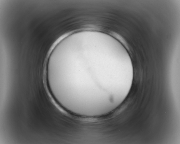 X0000083991387200703091836