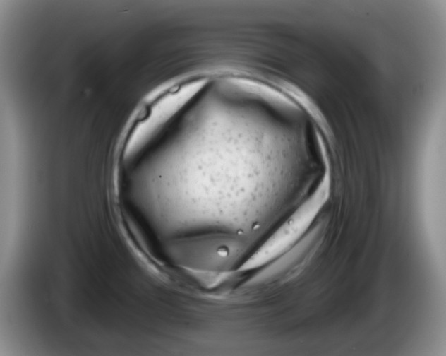 X0000083991388200703091836